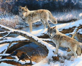 FRAMED CANVAS Art print giclee wolves in winter landscape wildlife wolf pack - £31.64 GBP+