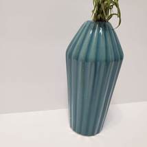 Air Plant in Blue Ceramic Holder, Bud Vase with Airplant, Mediterranean decor image 4