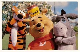 WALT DISNEY WORLD Postcard Fantasyland 3x5 0100 11603 Unused - $5.98