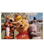 WALT DISNEY WORLD Postcard Fantasyland 3x5 0100 11603 Unused - $111.95 MXN
