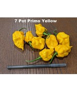 SEED-7 Pot Yellow Primo or Caramel Or 7 Pot BBG Black- Superhot Pepper B... - €5,52 EUR+