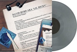 Lil Dicky - Professional Rapper (2× Platinum Vinyl LP 2024, Record Store Day) - $63.65