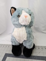 Gray Cat Plush Kitten Black Feet 13 Inch Tb Trading Co Stuffed Animal Toy - £13.41 GBP