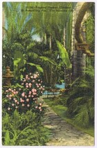 Postcard Tropical Sunken Gardens St Petersburg Florida The Sunshine City - £2.31 GBP