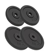 vidaXL Weight Plates 4 pcs 2x22.0 lb+2x11.0 lb Cast Iron - $5,602.25 MXN