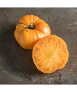 50+ Seeds Yellow Brandywine Tomato Tomatoe Vegetable Garden Edible Canni... - $8.94