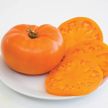 30 Amana Orange Beefsteak Tomato Seeds Non-Gmo  - £3.13 GBP