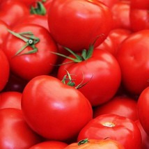 Floradade Tomato Seeds Organic US Fast Shipping - $1.98