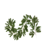 Artificial Pine Tree Leaf Vine, Wedding Backdrop Arch Wall Decor, Fake H... - $19.79