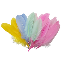 HelluyerDC Colorful Feathers for ornamentation for DIY Crafts,Wedding Ho... - $7.99