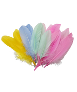 HelluyerDC Colorful Feathers for ornamentation for DIY Crafts,Wedding Home Party - $11.20 CAD