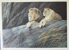 Don Patterson &quot;Lion Pair&quot; Lithograph Artwork Signed 22&quot;x30&quot; - $1,442.49 MXN