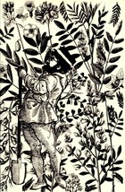 Gardening - The Adventures By Carlo Pittore- Art Postcard - Bka - £7.96 GBP