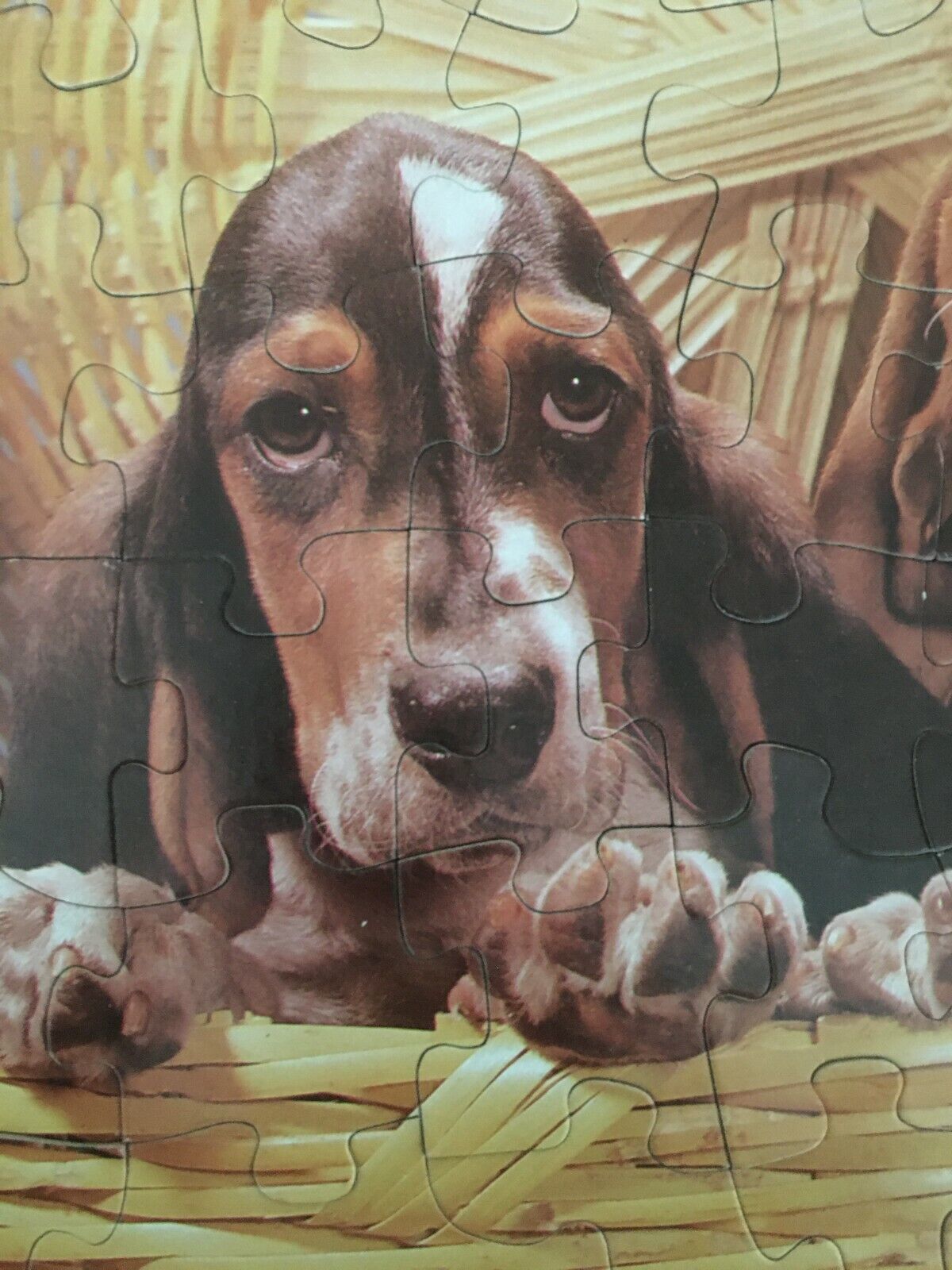 Golden Jigsaw Puzzle Little Charmers Vintage Basset Hound Dogs in Basket 63 Pc - £11.76 GBP