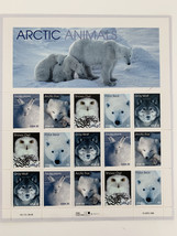 Arctic Animals: Arctic Hare, Arctic Fox, Snowy Owl, Polar Bear, and Gray Wolf, F - £11.75 GBP