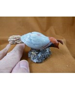 (Y-BIR-QU-16) Quail white red black bird gemstone STONE figurine Peru qu... - $515.88 MXN