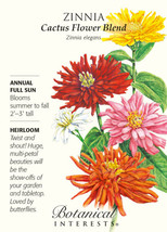 Cactus Flower Blend Zinnia Seeds 750 Mg Fresh Garden - £3.75 GBP