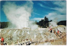 New Zealand Postcard Mighty Pohutu Geyser Scenic Wonders Of Whakarewarewa - $6.92