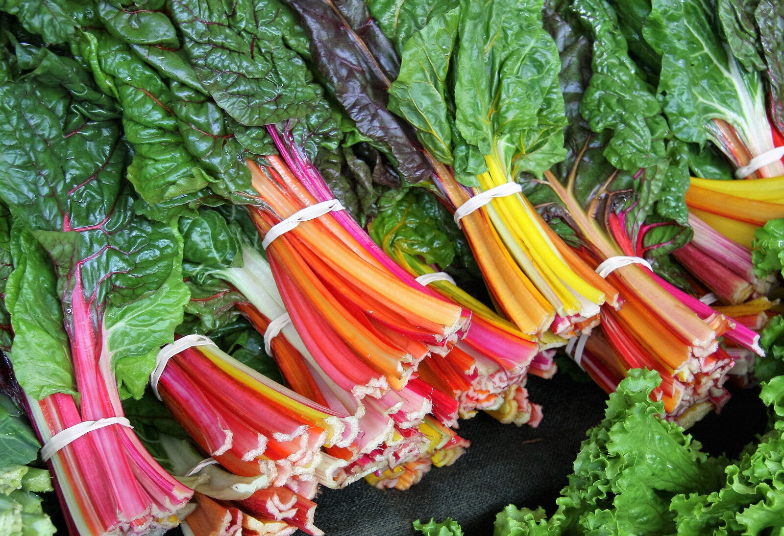 150 Rainbow Mix Swiss Chard Mixed Colors Beta Vulgaris Vegetable Seeds G... - £8.08 GBP