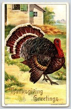Postcard Thanksgiving Greetings Embossed Turkey Outside Of Home Julius Bien - £6.35 GBP