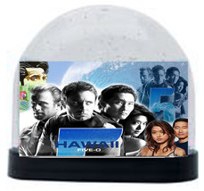 Hawaii 50 Snow Globe NEW - $15.00