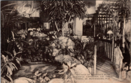 St. Petersburg FL-Florida Garden Cafeteria Interior Antique Vintage Postcard a3 - £17.70 GBP