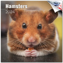 Hamsters Wall Calendar 2024 Animal Pet Lover Gift - £19.41 GBP
