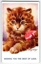 Antique Kitten Cat Postcard Orange Fluffy With Red Ribbon Signed Taylor Bamforth - £14.29 GBP