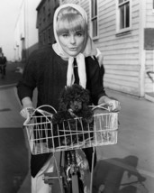 Elke Sommer 1960's pose riding bicycle with dog in basket 16x20 Canvas Giclee - $69.99