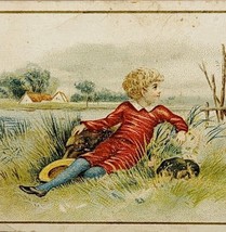 Antique Victorian Trade Card 1880-1990s 4.25 x 2.75 Boy In Field - £20.44 GBP