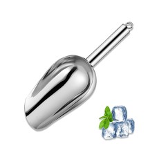 Metal Ice Scoop 6 Oz,Kitchen Ice Scooper For Ice Maker, Small Food Scoop... - £9.80 GBP