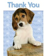 Thank You Very Much - Thank You Greeting Card - 00800 - $2.79