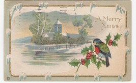 Vintage Postcard Christmas Colorful Bird Winter Scene Embossed 1919 - $6.92