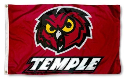 South Florida Bulls Helmet USA Flag 3X5ft Banner USA Polyester with 2 Br... - $20.00