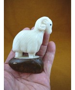 TNE-RAM-647A) little white long horn Ram sheep tagua nut carving Vegetab... - $37.31 CAD
