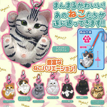 Manmaru Animal Round Cats Kittens Swing Mascot Keychain Collection - £11.21 GBP+