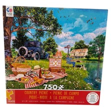 Country Picnic Fishing Lake Summer 750-Piece Jigsaw Puzzle By Ceaco - £11.19 GBP