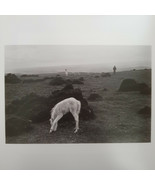 David Hurn - Signed Photo - Magnum Square Print Limited Edition - £381.57 GBP