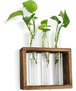 Creative Hydroponics Glass Plant Holder, Ornament , Vases, Home Decor - £9.40 GBP