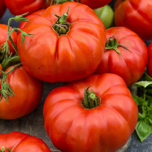 500 seeds Beefsteak Tomato Seeds | NON-GMO | Heirloom | Fresh Vegetable ... - £5.96 GBP