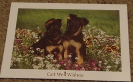 BRAND NEW Nice Get Well Soon Greeting Card, GREAT CONDITION - $2.96