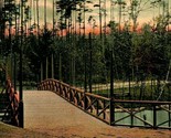 Manchester New Hampshire NH Rustic Bridge Pine Island Park UDB UNP Postcard - £7.67 GBP