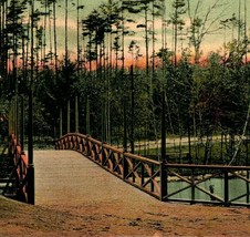 Manchester New Hampshire NH Rustic Bridge Pine Island Park UDB UNP Postcard - £7.64 GBP