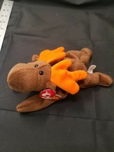TY Beanie Baby Chocolate the Moose - $14.25