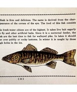 Dore 1939 Fresh Water Fish Art Gordon Ertz Color Plate Print PCBG20 - $570.01 MXN