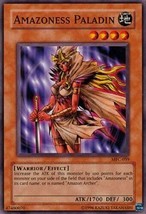 YUGIOH Amazon / Amazoness Deck with Paladin Complete 40 - Cards - £14.75 GBP