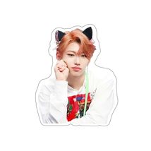 Straykids Felix yongbok MIU 4.5x3.5 Sticker Vinyl Decal Gift Car Bumper ... - $109.18 MXN