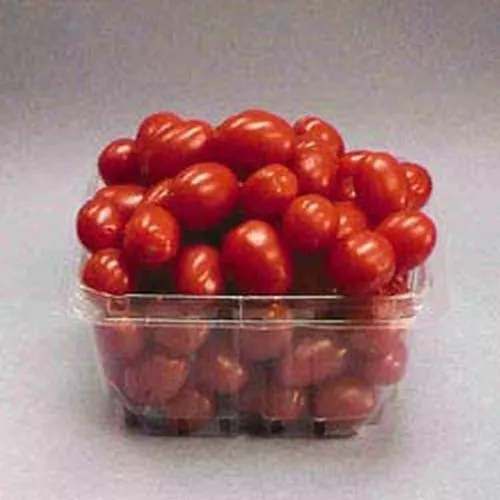 Jelly Bean Red Tomato 15 Seeds Moon Gardens Simply Grown Beautifully - $22.74