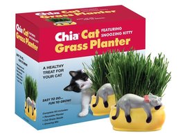 Chia Pet Kitty Cat Grass, Decorative Pottery Planter, Easy to Do and Fun... - £19.13 GBP