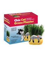Chia Pet Kitty Cat Grass, Decorative Pottery Planter, Easy to Do and Fun... - £19.71 GBP